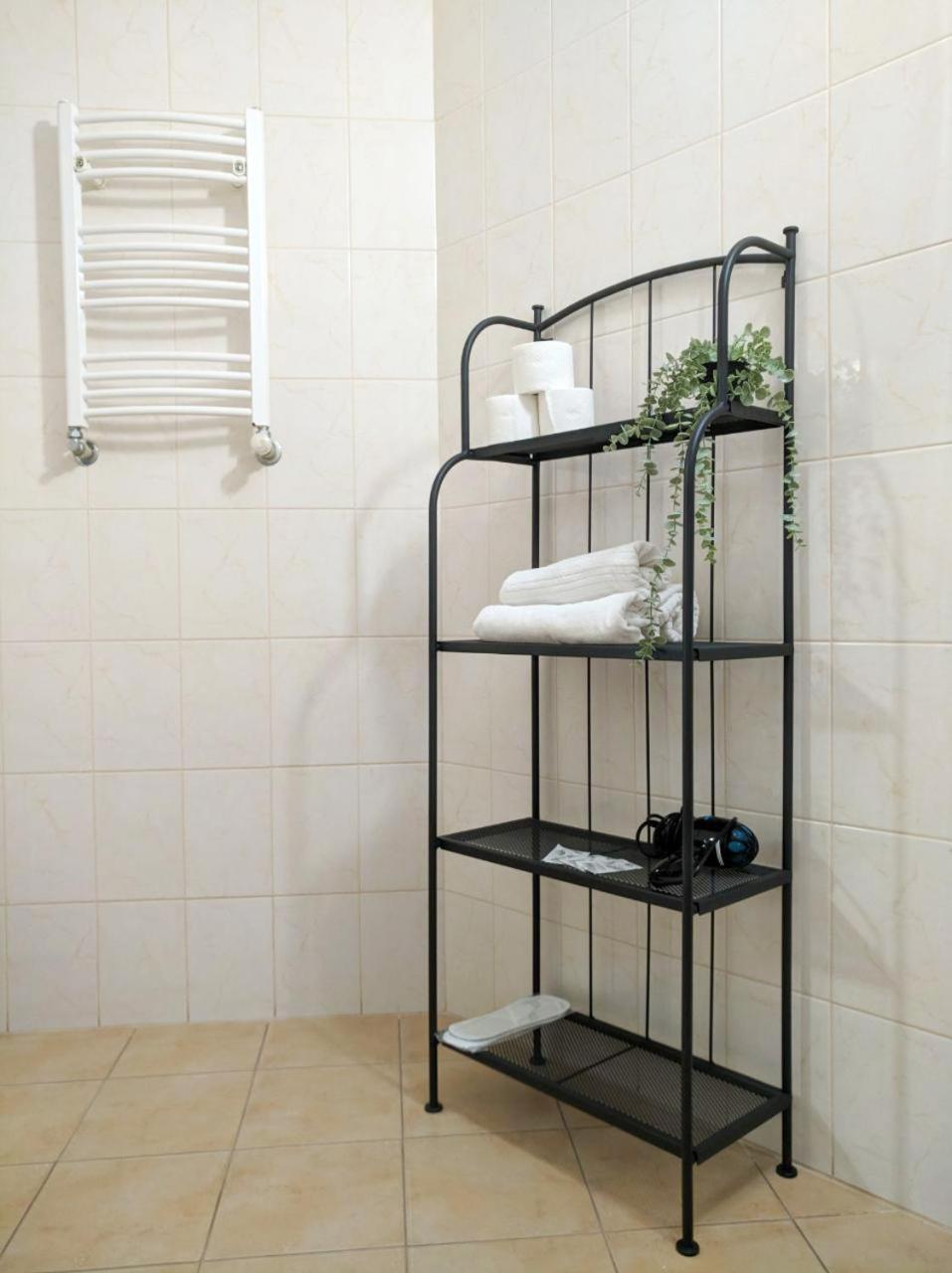 Best Apartment In The Center موكاشيفه المظهر الخارجي الصورة